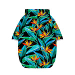 Teal Tropical Pattern Print Dog Zip Up Hoodie