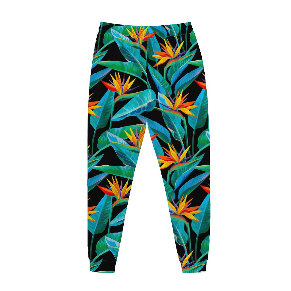 Teal Tropical Pattern Print Jogger Pants