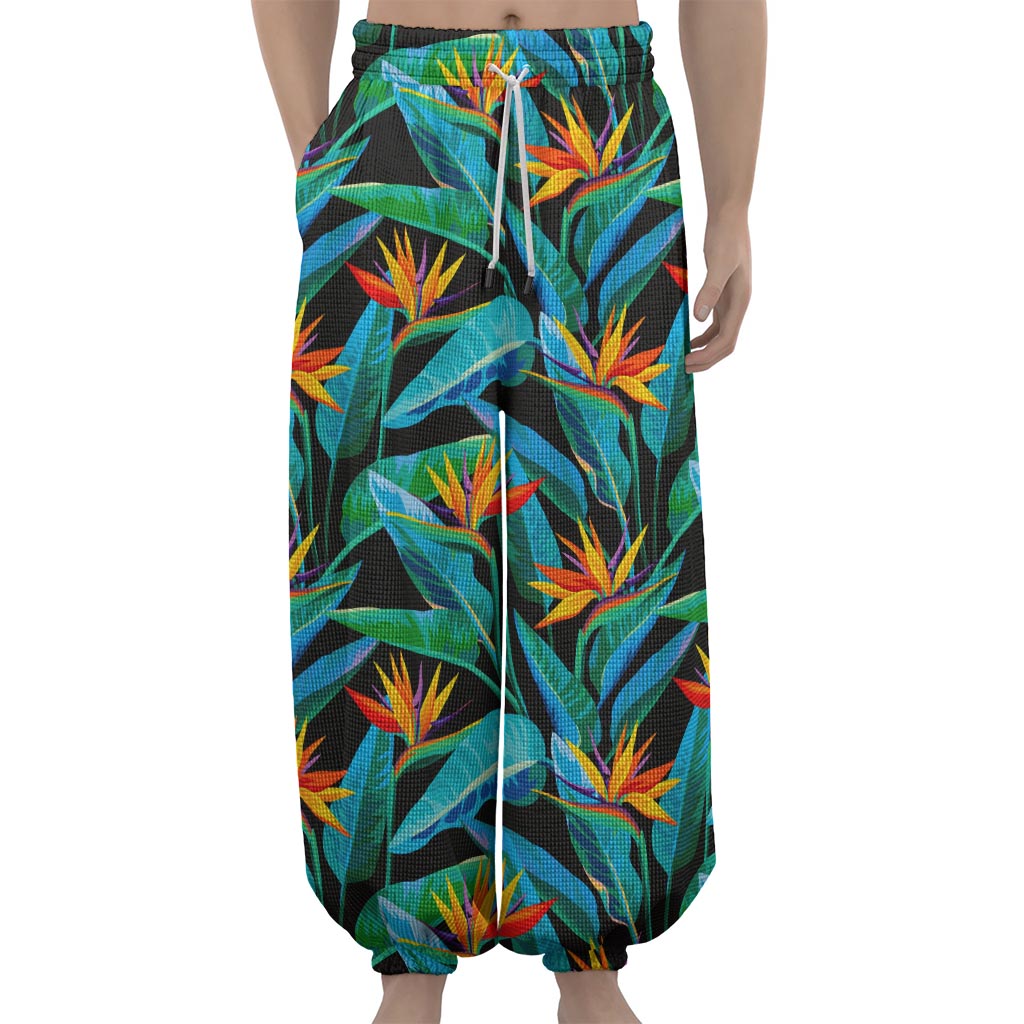 Teal Tropical Pattern Print Lantern Pants
