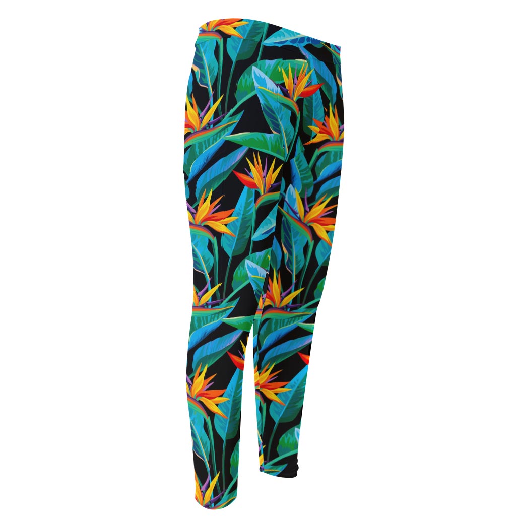 Teal Tropical Pattern Print Men's Compression Pants