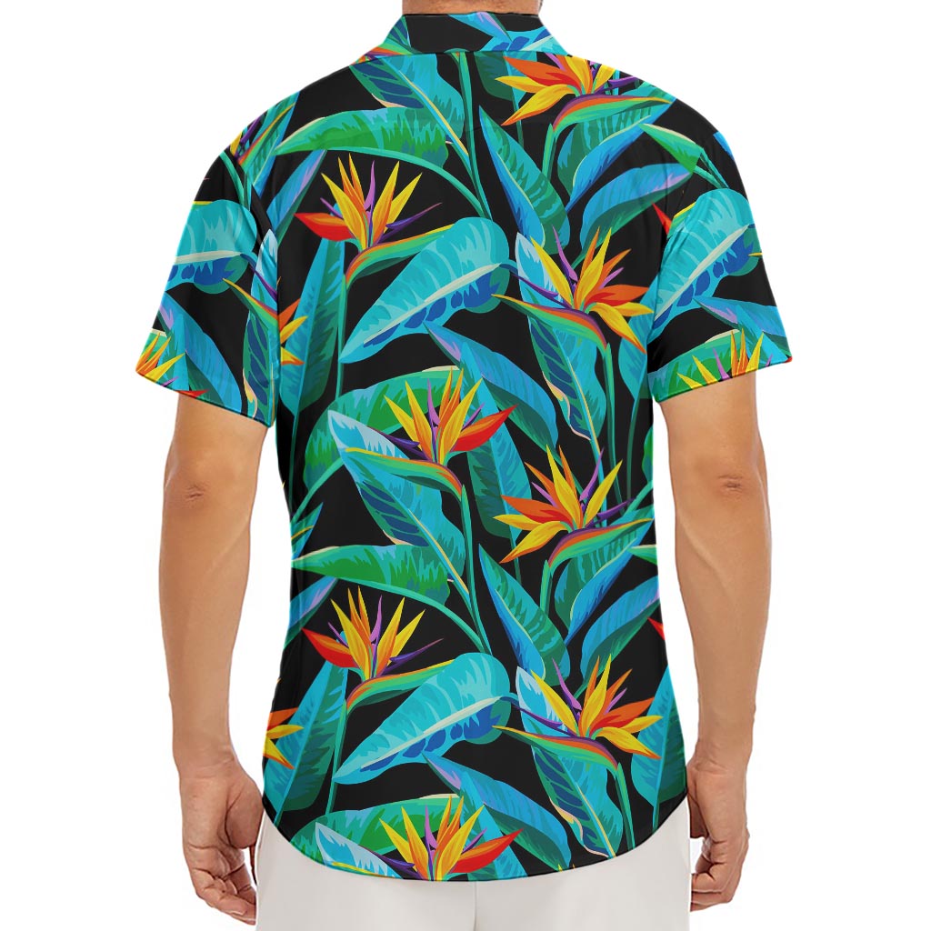 Teal Tropical Pattern Print Men's Deep V-Neck Shirt