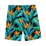 Teal Tropical Pattern Print Men's Sports Shorts
