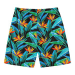 Teal Tropical Pattern Print Men's Swim Trunks