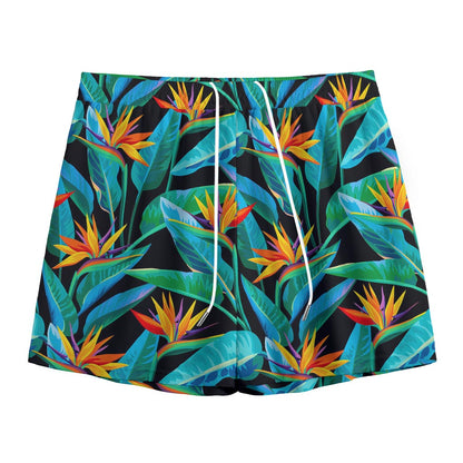 Teal Tropical Pattern Print Mesh Shorts