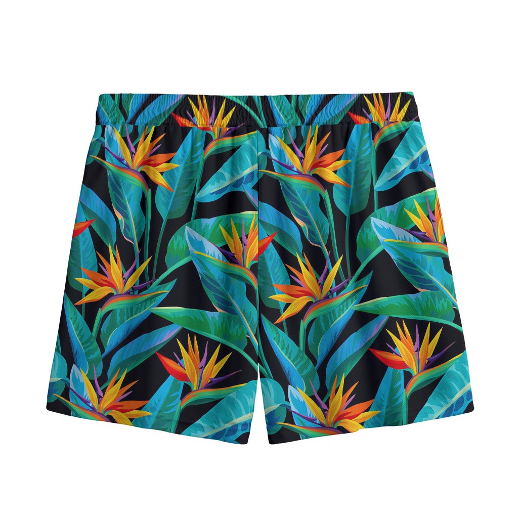 Teal Tropical Pattern Print Mesh Shorts