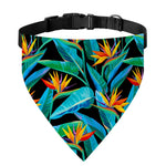 Teal Tropical Pattern Print Over The Collar Dog Bandana