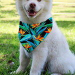 Teal Tropical Pattern Print Over The Collar Dog Bandana
