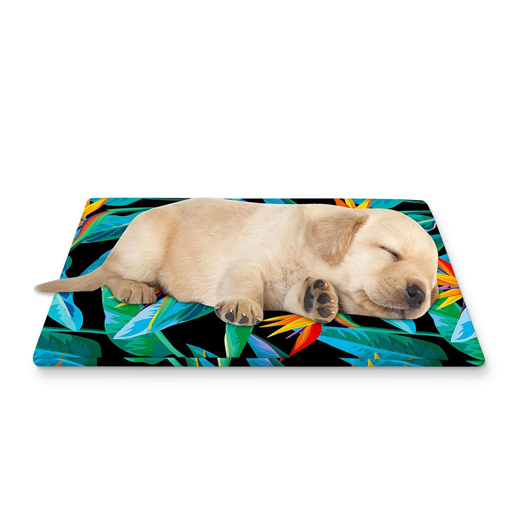 Teal Tropical Pattern Print Pet Cooling Mat Cover
