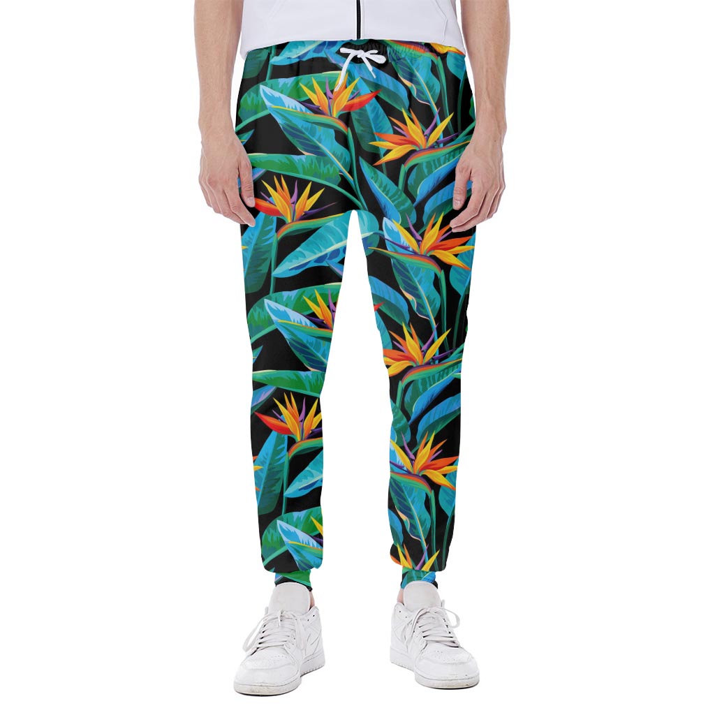 Teal Tropical Pattern Print Scuba Joggers