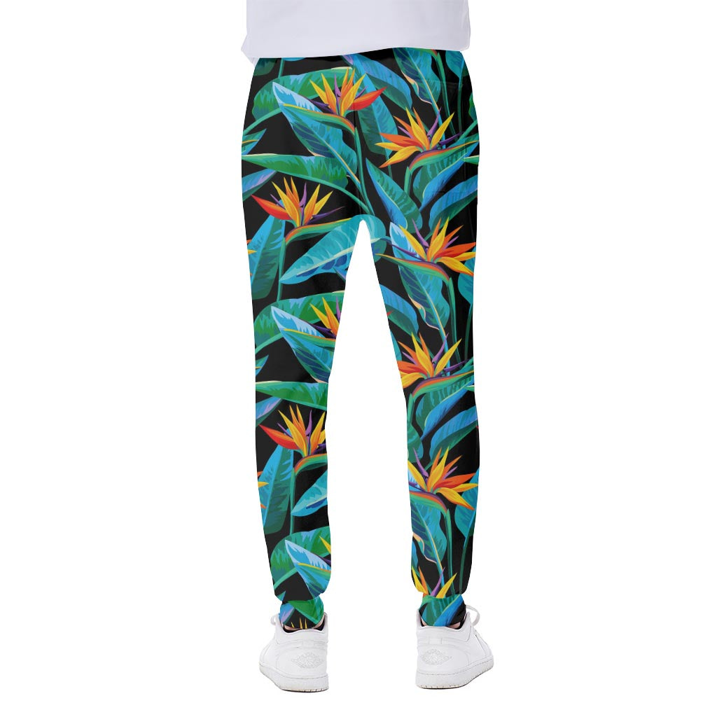 Teal Tropical Pattern Print Scuba Joggers