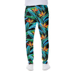 Teal Tropical Pattern Print Scuba Joggers