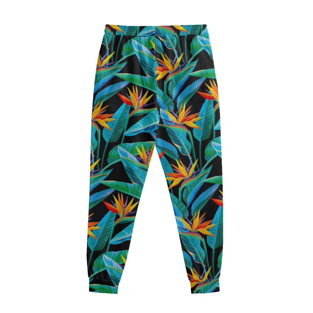 Teal Tropical Pattern Print Sweatpants
