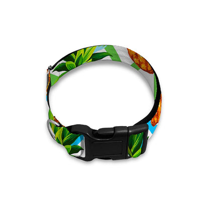 Teal Zig Zag Pineapple Pattern Print Dog Collar