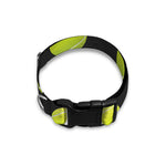 Tennis Balls Pattern Print Dog Collar