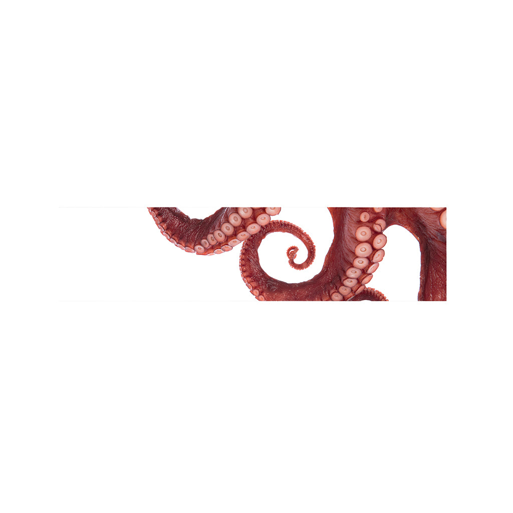 Tentacles Of Octopus Print Bed Runner