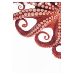 Tentacles Of Octopus Print Curtain
