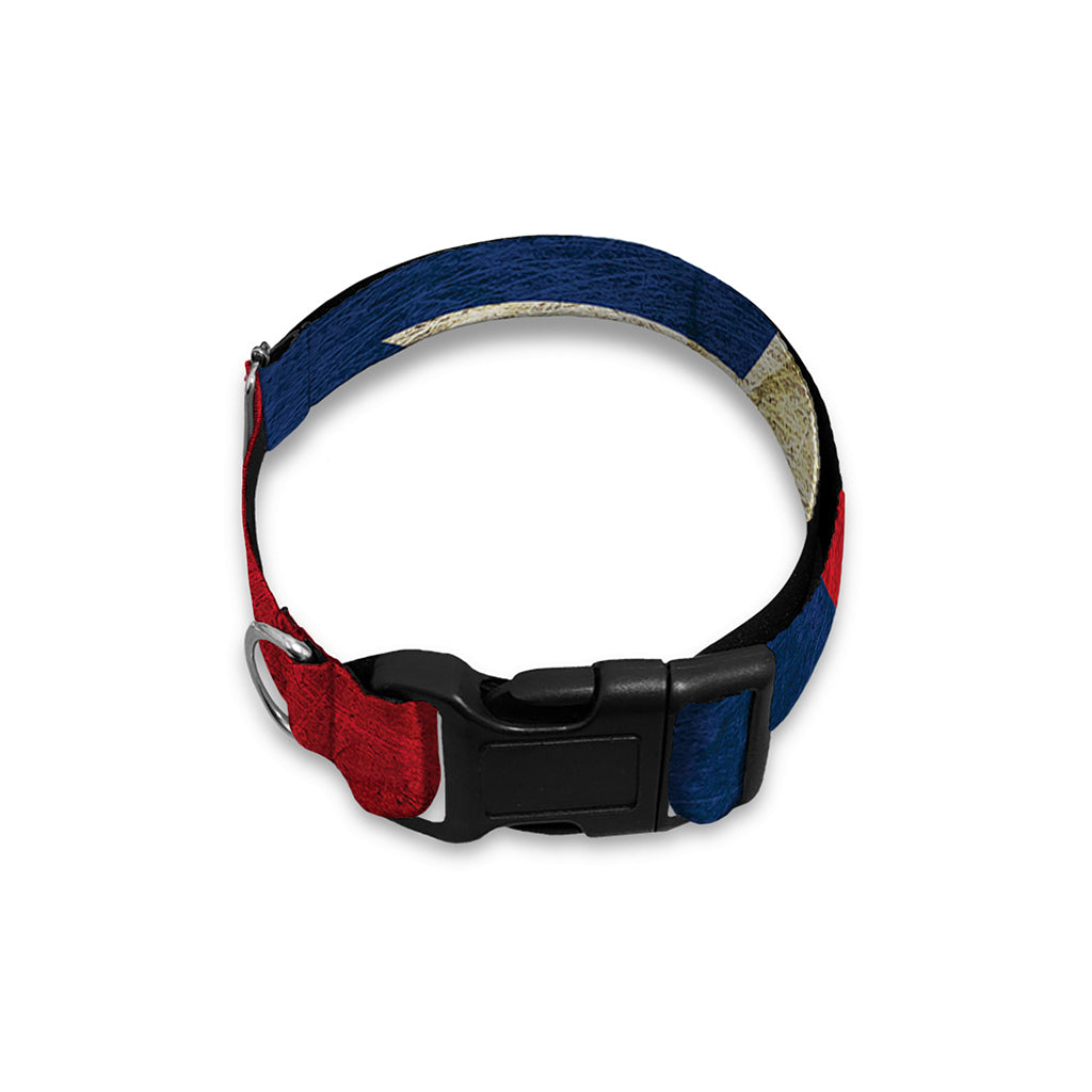 Texas Flag Print Dog Collar