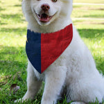 Texas Flag Print Over The Collar Dog Bandana