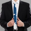 Texas State Flag Print Necktie
