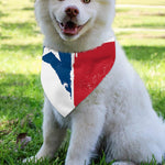 Texas State Flag Print Over The Collar Dog Bandana