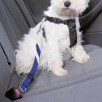 The Star Of Life Paramedic Symbol Print Dog Seat Belt