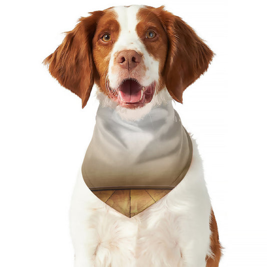 Theater Stage Print Dog Bandana