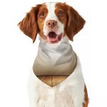 Theater Stage Print Dog Bandana