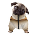 Theater Stage Print Dog Zip Up Jacket