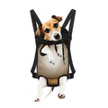 Theater Stage Print Pet Carrier Backpack