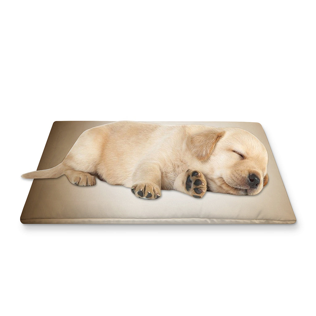 Theater Stage Print Pet Cooling Mat Cover