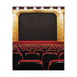 Theatre Stage Print Curtain