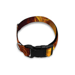 Three Flaming Skull Print Dog Collar