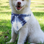 Tie Dye Shibori Print Over The Collar Dog Bandana