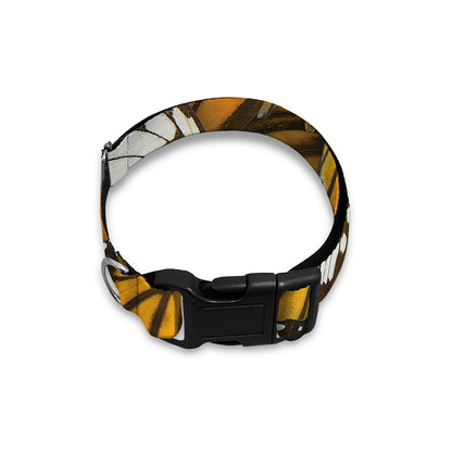 Tiger Monarch Butterfly Pattern Print Dog Collar