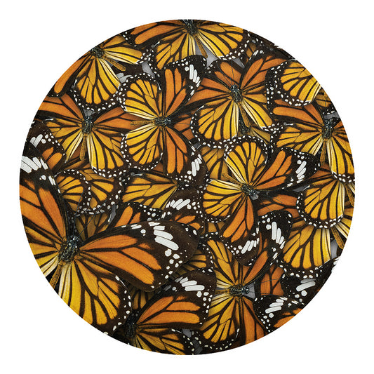 Tiger Monarch Butterfly Pattern Print Round Blanket