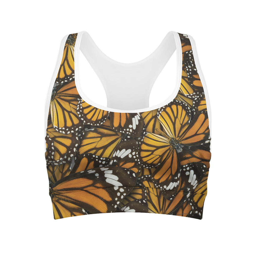 Tiger Monarch Butterfly Pattern Print Women's Sports Bra