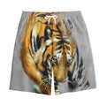 Tiger Painting Print Cotton Shorts