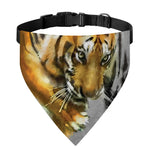 Tiger Painting Print Over The Collar Dog Bandana