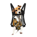 Tiger Painting Print Pet Carrier Backpack