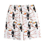 Toco Toucan Pattern Print Cotton Shorts