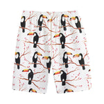 Toco Toucan Pattern Print Cotton Shorts