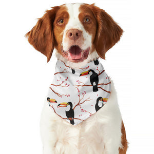 Toco Toucan Pattern Print Dog Bandana