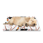 Toco Toucan Pattern Print Pet Cooling Mat Cover