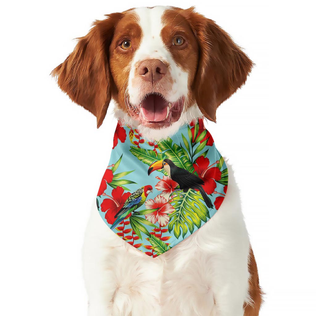 Toucan Parrot Tropical Pattern Print Dog Bandana