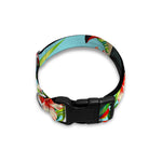 Toucan Parrot Tropical Pattern Print Dog Collar