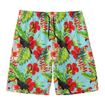 Toucan Parrot Tropical Pattern Print Men's Swim Trunks