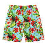Toucan Parrot Tropical Pattern Print Men's Swim Trunks
