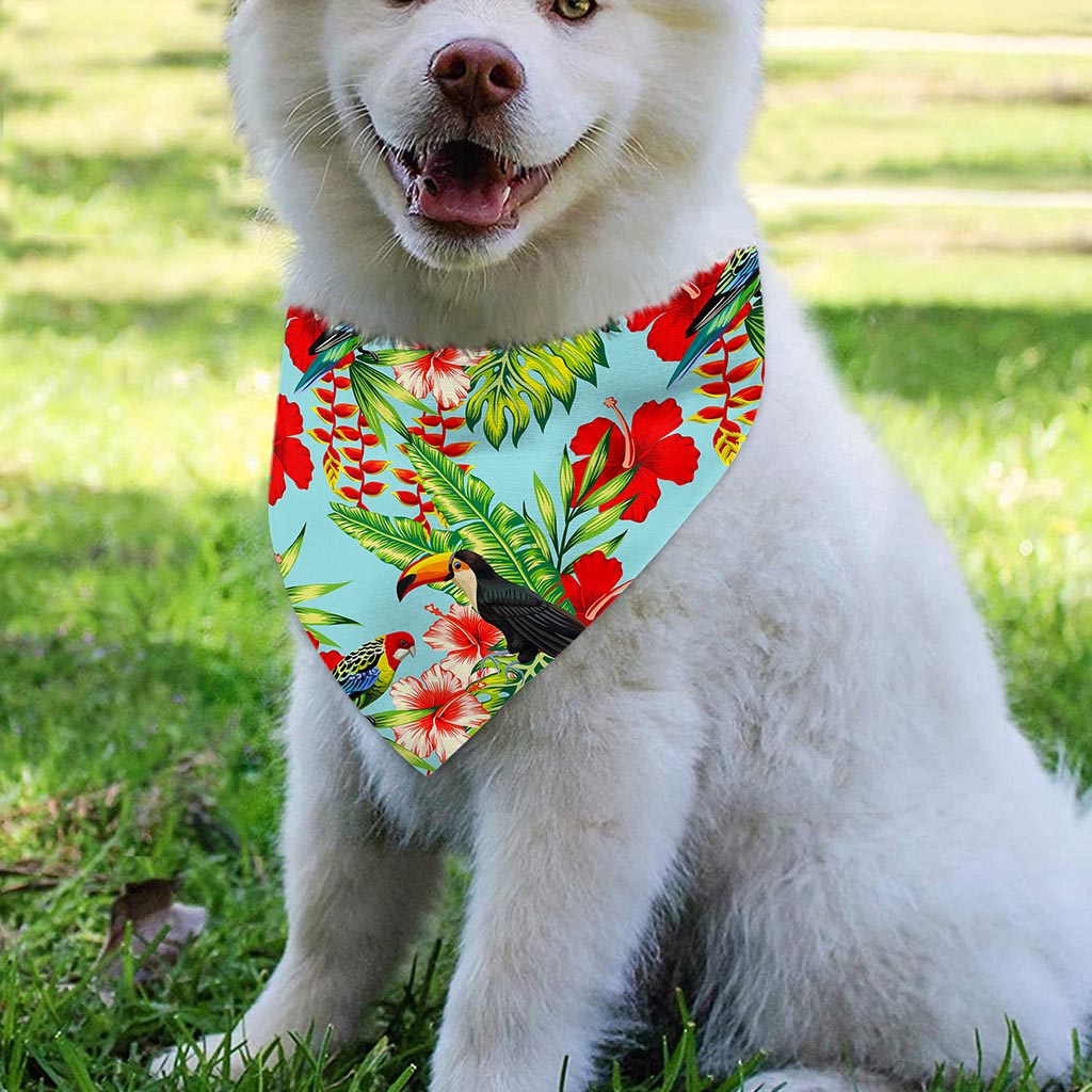 Toucan Parrot Tropical Pattern Print Over The Collar Dog Bandana