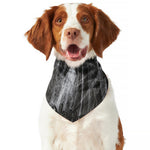 Toy Spiders And Cobweb Print Dog Bandana