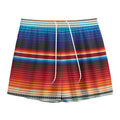 Tribal Mexican Blanket Pattern Print Mesh Shorts